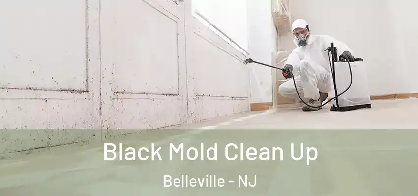 Black Mold Clean Up Belleville - NJ