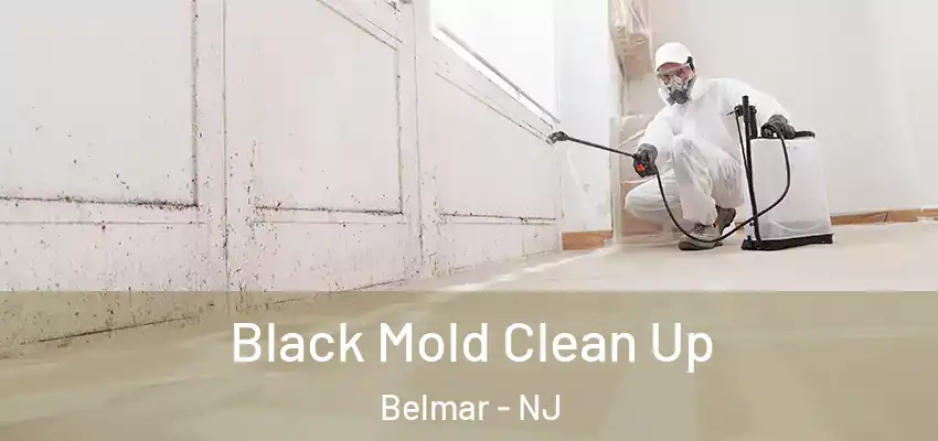 Black Mold Clean Up Belmar - NJ