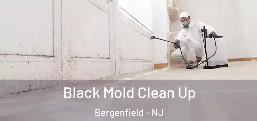 Black Mold Clean Up Bergenfield - NJ