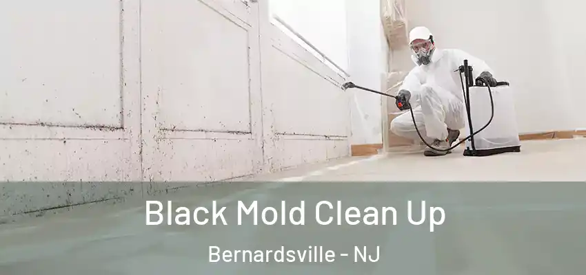 Black Mold Clean Up Bernardsville - NJ