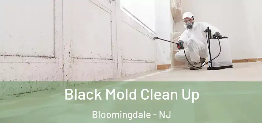  Black Mold Clean Up Bloomingdale - NJ