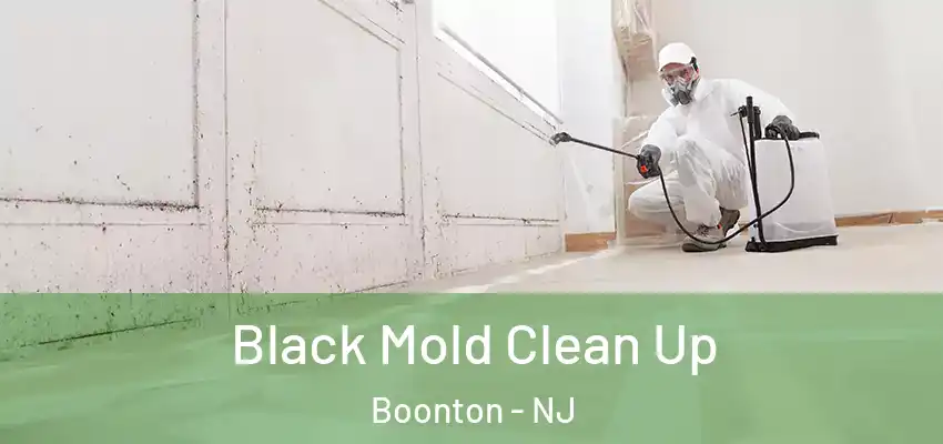 Black Mold Clean Up Boonton - NJ