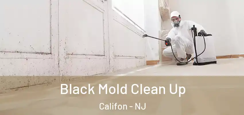Black Mold Clean Up Califon - NJ
