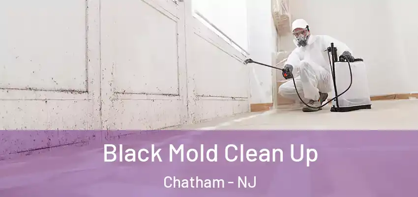 Black Mold Clean Up Chatham - NJ