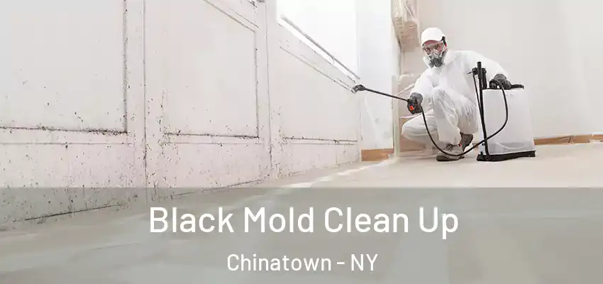 Black Mold Clean Up Chinatown - NY