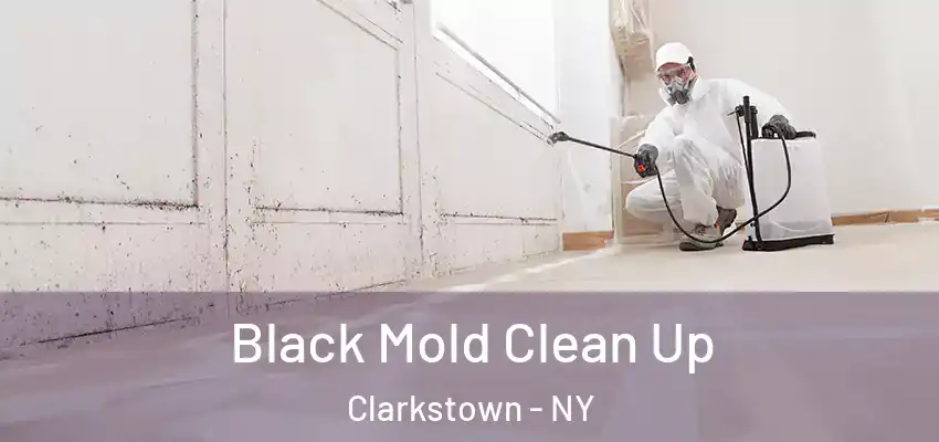 Black Mold Clean Up Clarkstown - NY