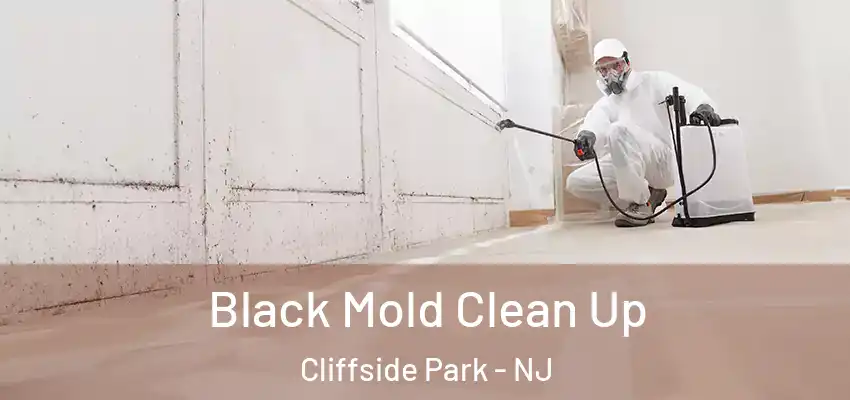 Black Mold Clean Up Cliffside Park - NJ