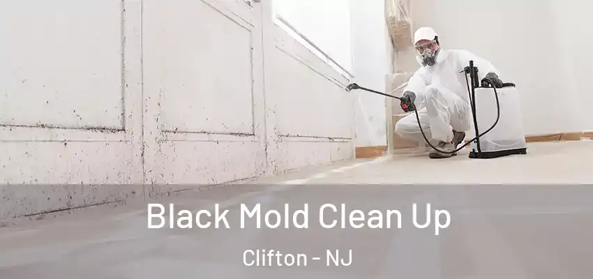 Black Mold Clean Up Clifton - NJ