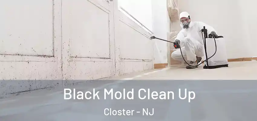  Black Mold Clean Up Closter - NJ