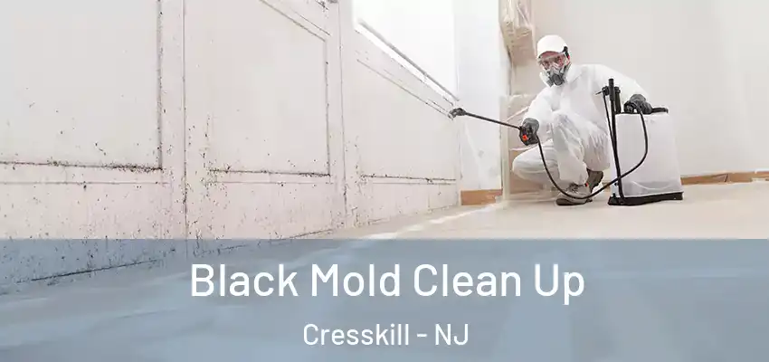  Black Mold Clean Up Cresskill - NJ