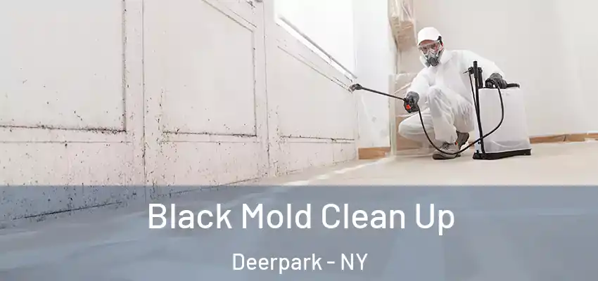  Black Mold Clean Up Deerpark - NY