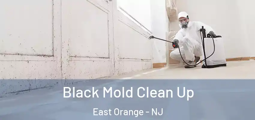 Black Mold Clean Up East Orange - NJ