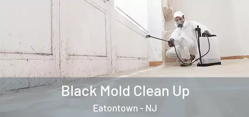  Black Mold Clean Up Eatontown - NJ