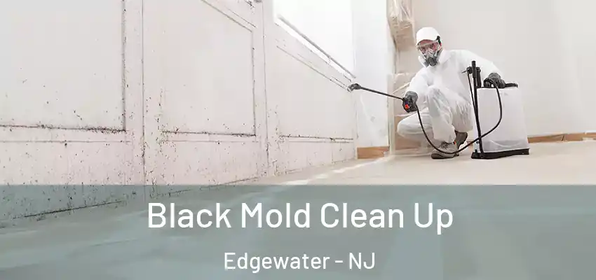  Black Mold Clean Up Edgewater - NJ