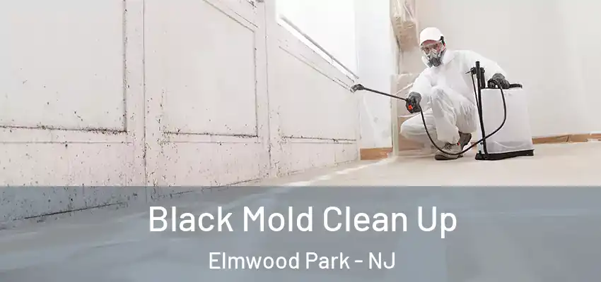  Black Mold Clean Up Elmwood Park - NJ