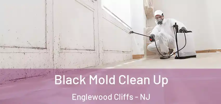 Black Mold Clean Up Englewood Cliffs - NJ