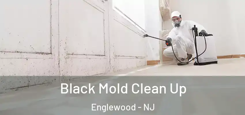  Black Mold Clean Up Englewood - NJ