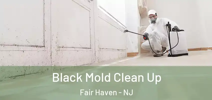 Black Mold Clean Up Fair Haven - NJ