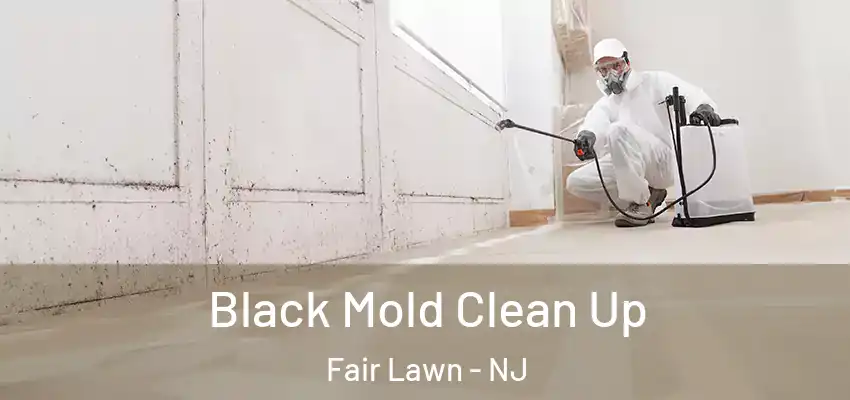 Black Mold Clean Up Fair Lawn - NJ