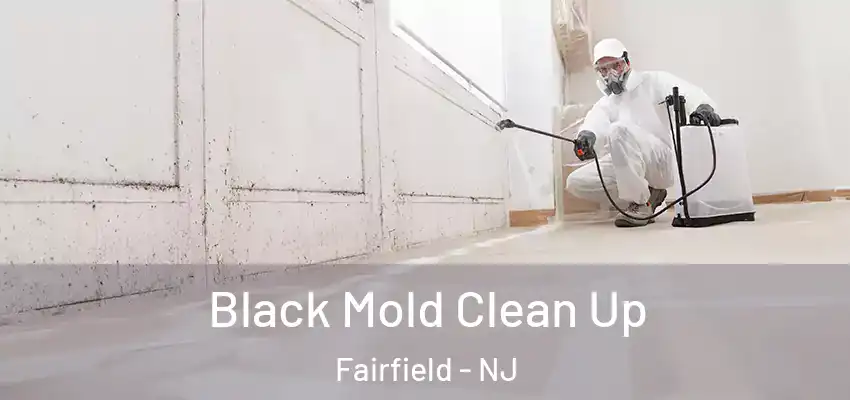  Black Mold Clean Up Fairfield - NJ
