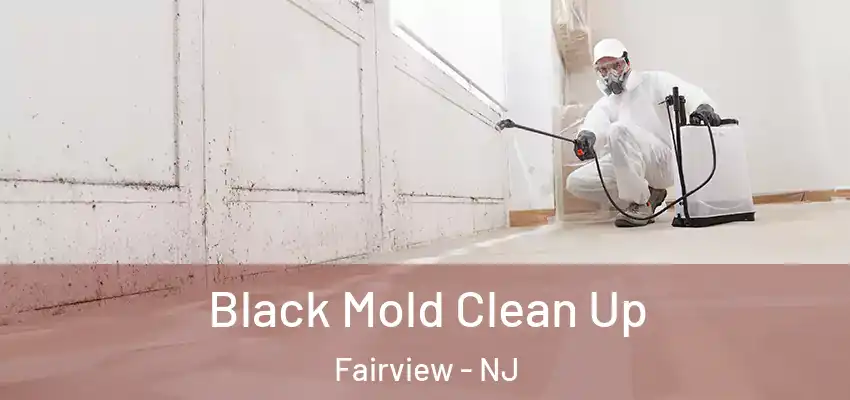 Black Mold Clean Up Fairview - NJ