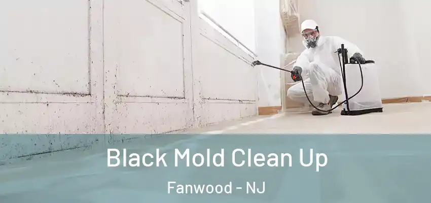 Black Mold Clean Up Fanwood - NJ