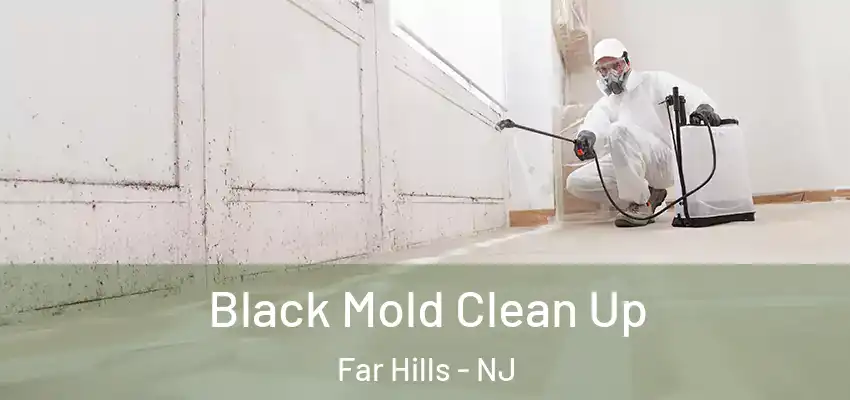  Black Mold Clean Up Far Hills - NJ