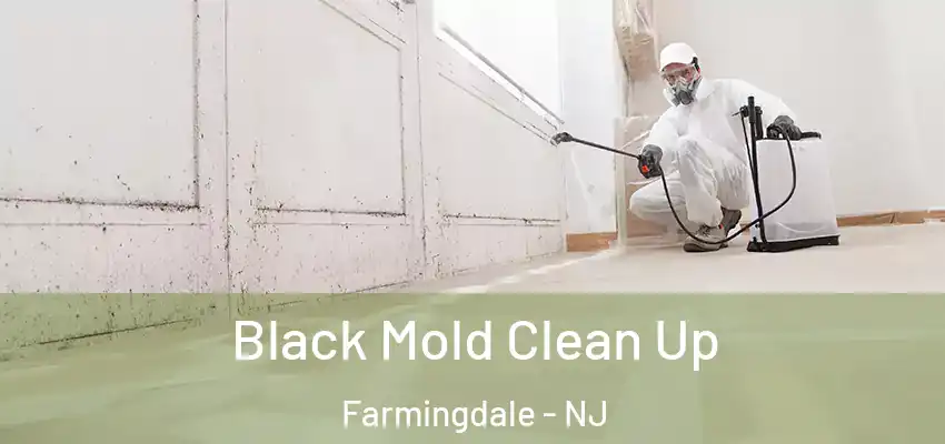 Black Mold Clean Up Farmingdale - NJ
