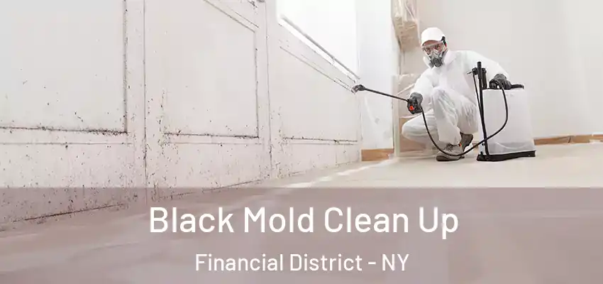 Black Mold Clean Up Financial District - NY