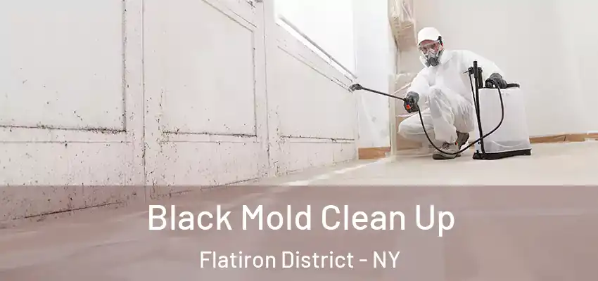 Black Mold Clean Up Flatiron District - NY