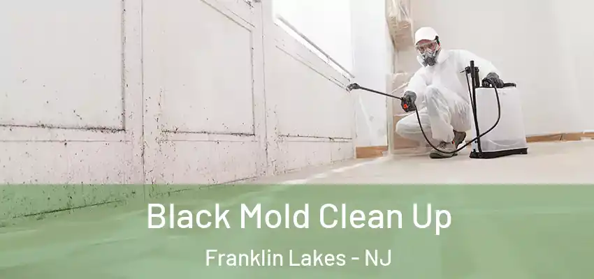 Black Mold Clean Up Franklin Lakes - NJ