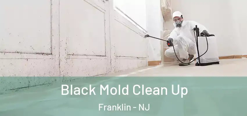 Black Mold Clean Up Franklin - NJ