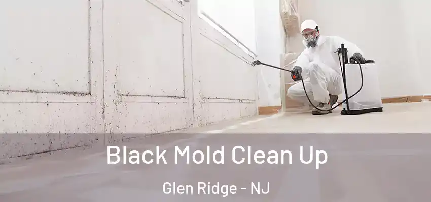 Black Mold Clean Up Glen Ridge - NJ