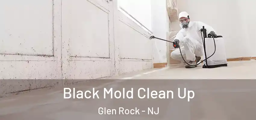 Black Mold Clean Up Glen Rock - NJ
