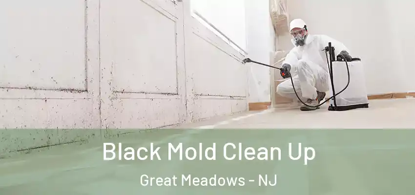 Black Mold Clean Up Great Meadows - NJ