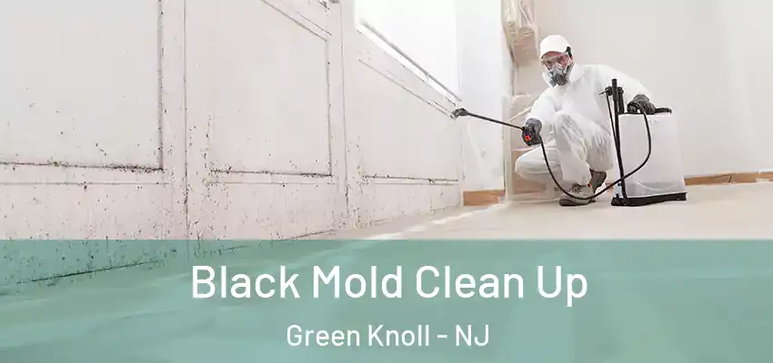 Black Mold Clean Up Green Knoll - NJ