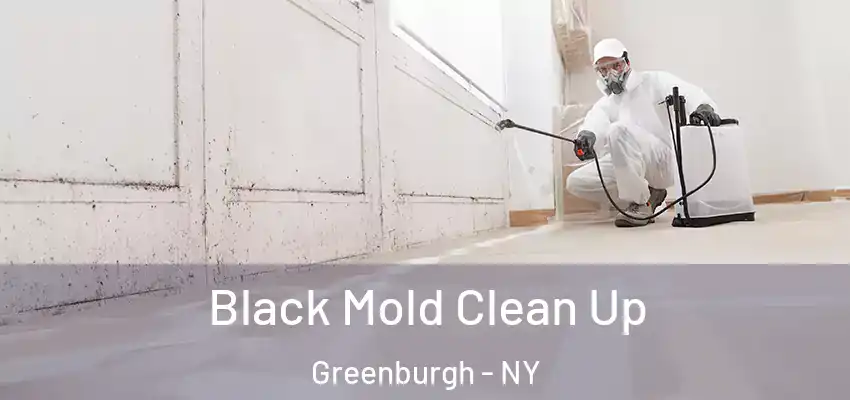 Black Mold Clean Up Greenburgh - NY