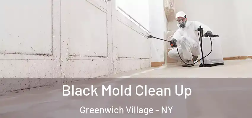 Black Mold Clean Up Greenwich Village - NY