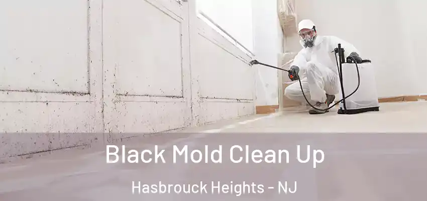 Black Mold Clean Up Hasbrouck Heights - NJ