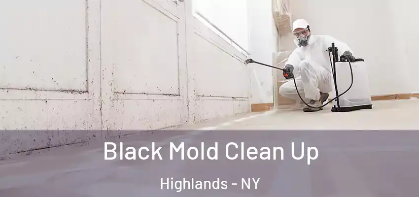 Black Mold Clean Up Highlands - NY