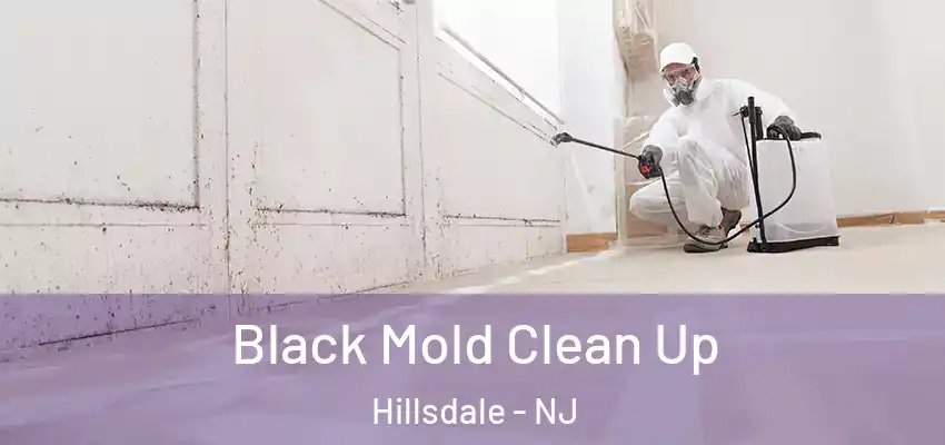 Black Mold Clean Up Hillsdale - NJ
