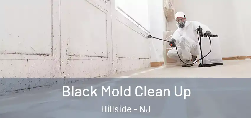 Black Mold Clean Up Hillside - NJ