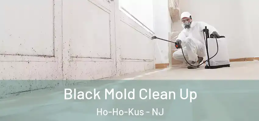  Black Mold Clean Up Ho-Ho-Kus - NJ