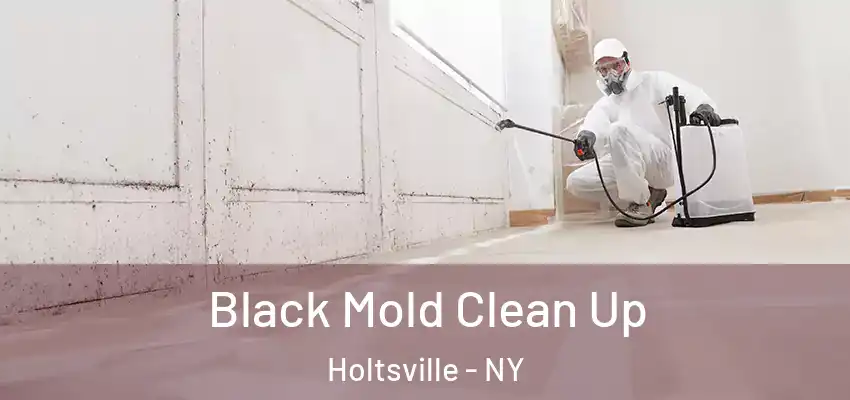 Black Mold Clean Up Holtsville - NY