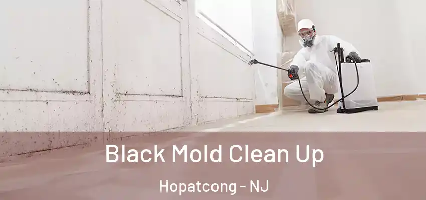 Black Mold Clean Up Hopatcong - NJ