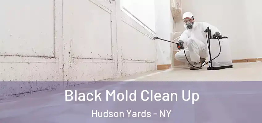 Black Mold Clean Up Hudson Yards - NY