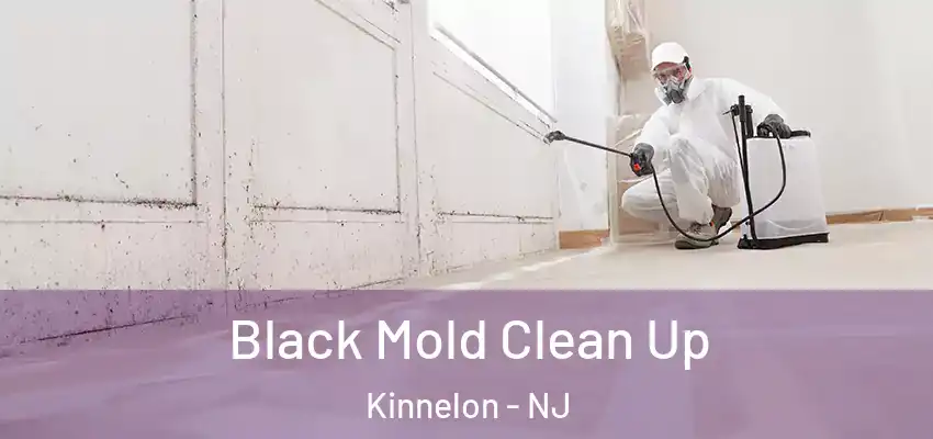  Black Mold Clean Up Kinnelon - NJ