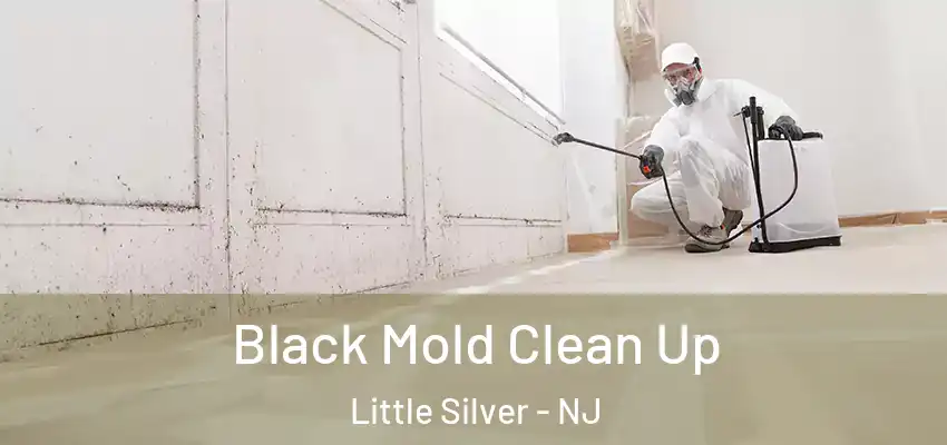 Black Mold Clean Up Little Silver - NJ