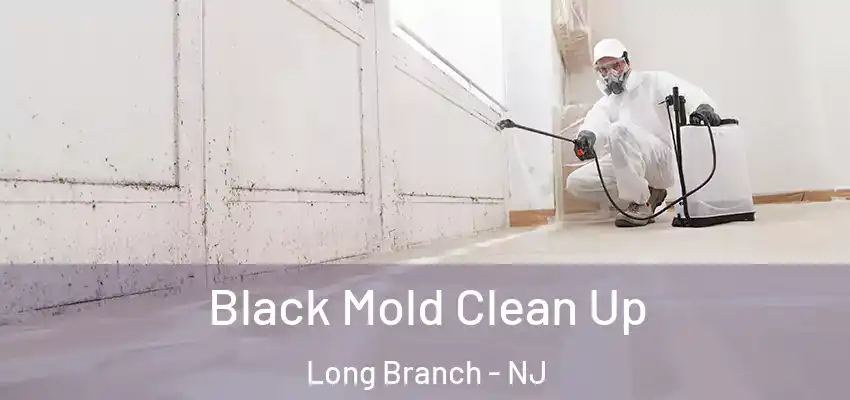Black Mold Clean Up Long Branch - NJ