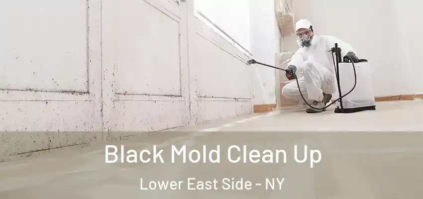  Black Mold Clean Up Lower East Side - NY